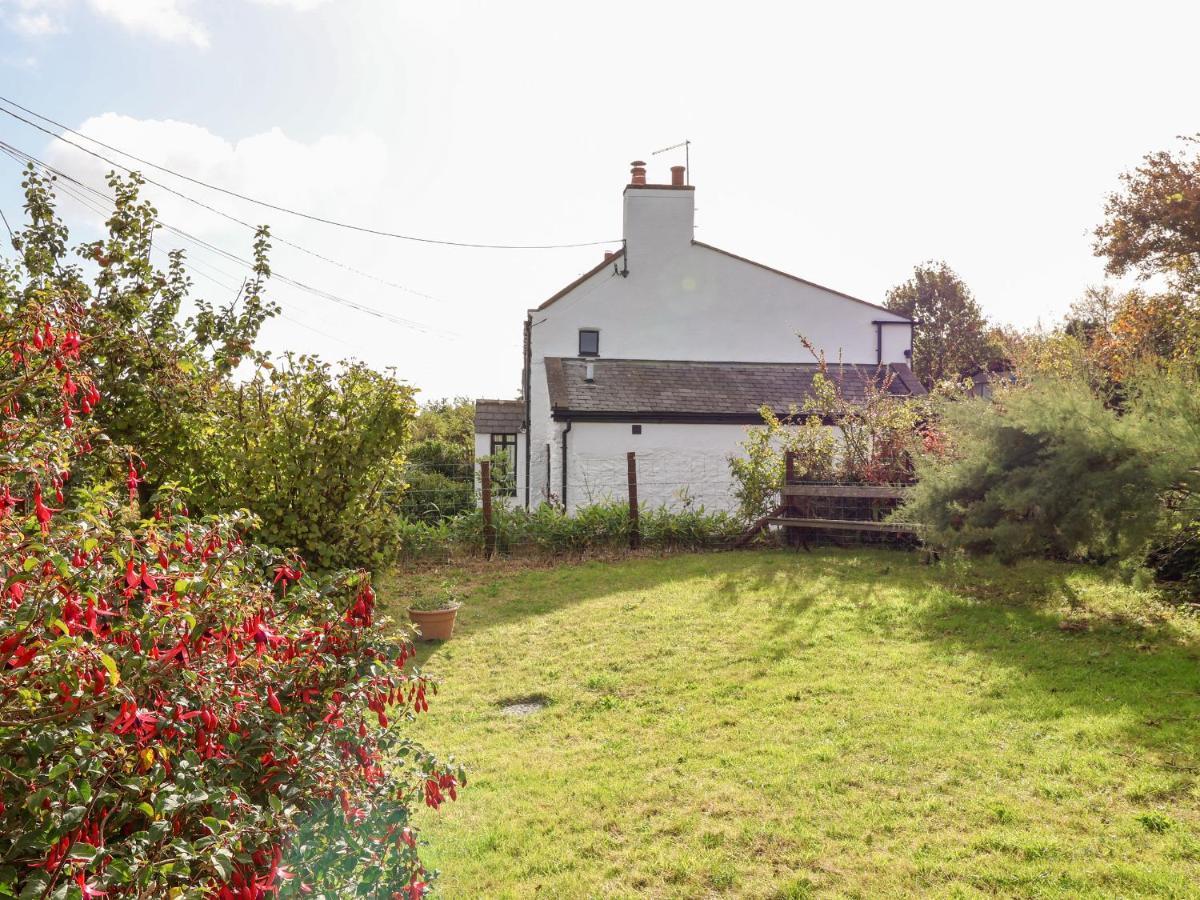 3 Penllan Cottages هوليويل المظهر الخارجي الصورة